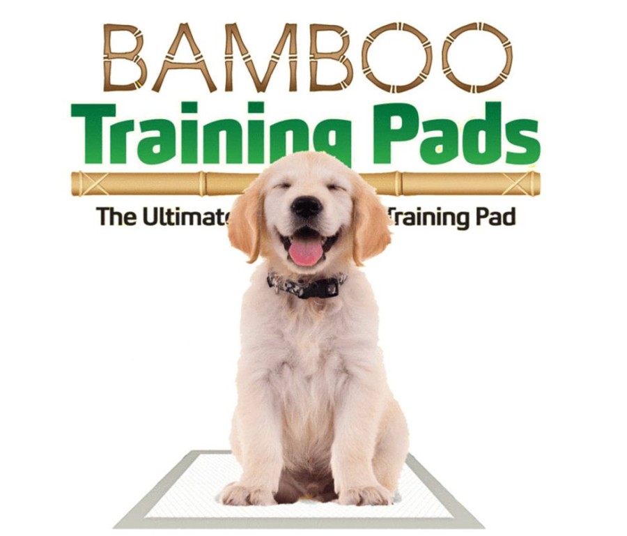 Stain, Odor & Clean-Up Products Green Pet Shop | Bamboo Training Pads