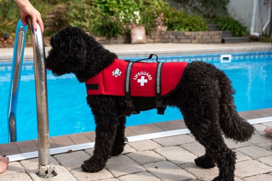 Health & Safety Paws Aboard | Paws Aboard Dog Life Jacket - Red Neoprene