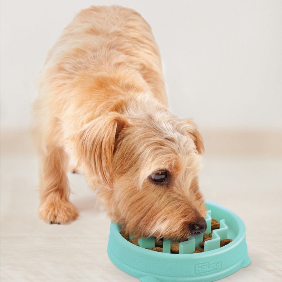 Bowls & Feeding Supplies Outward Hound® | Fun Feeder Slo-Bowl - Mint Wave Sm