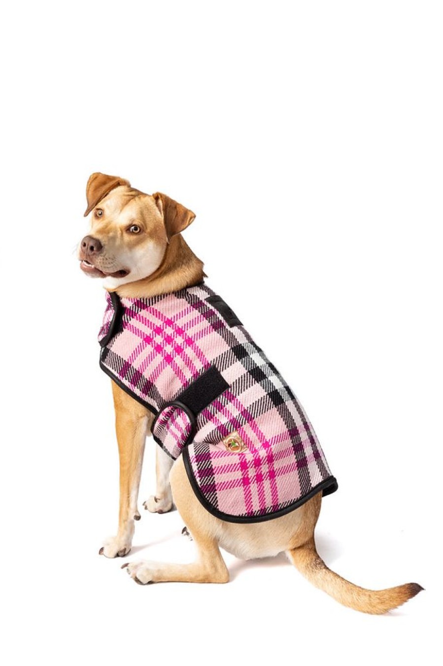 Pet Apparel Chilly Dog | Pink Plaid Blanket Coat