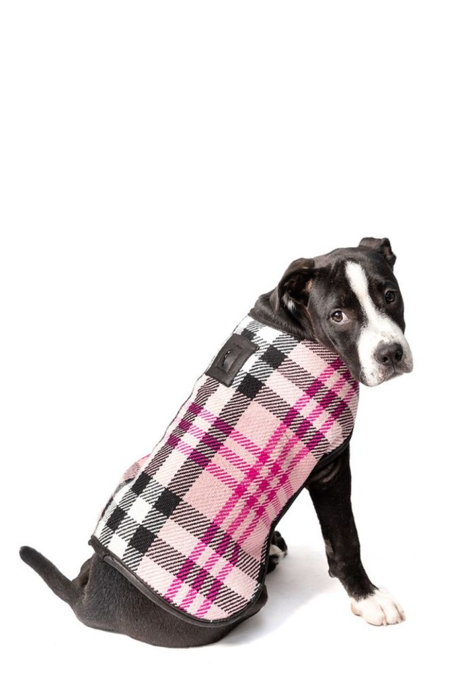 Pet Apparel Chilly Dog | Pink Plaid Blanket Coat