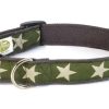 Collars, Leads & Accessories earthdog | Kody Collection