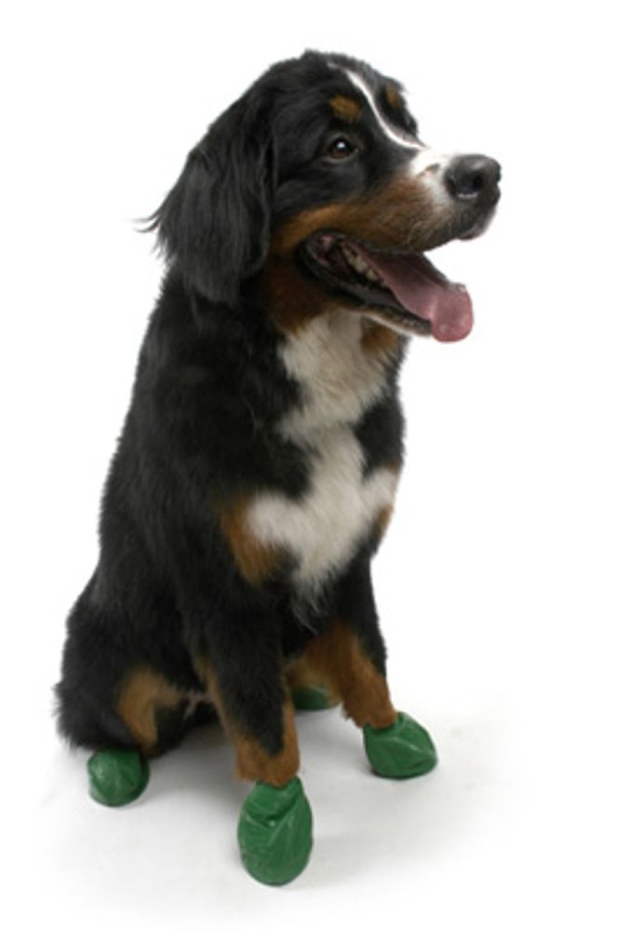 Pet Apparel PawZ Dog Boots | Pawz - Green - Xlarge - Up To 5"