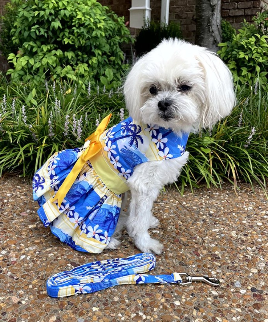 Pet Apparel (Continued) Doggie Design, Inc. | Catching Waves Dog Dress With Matching Leash