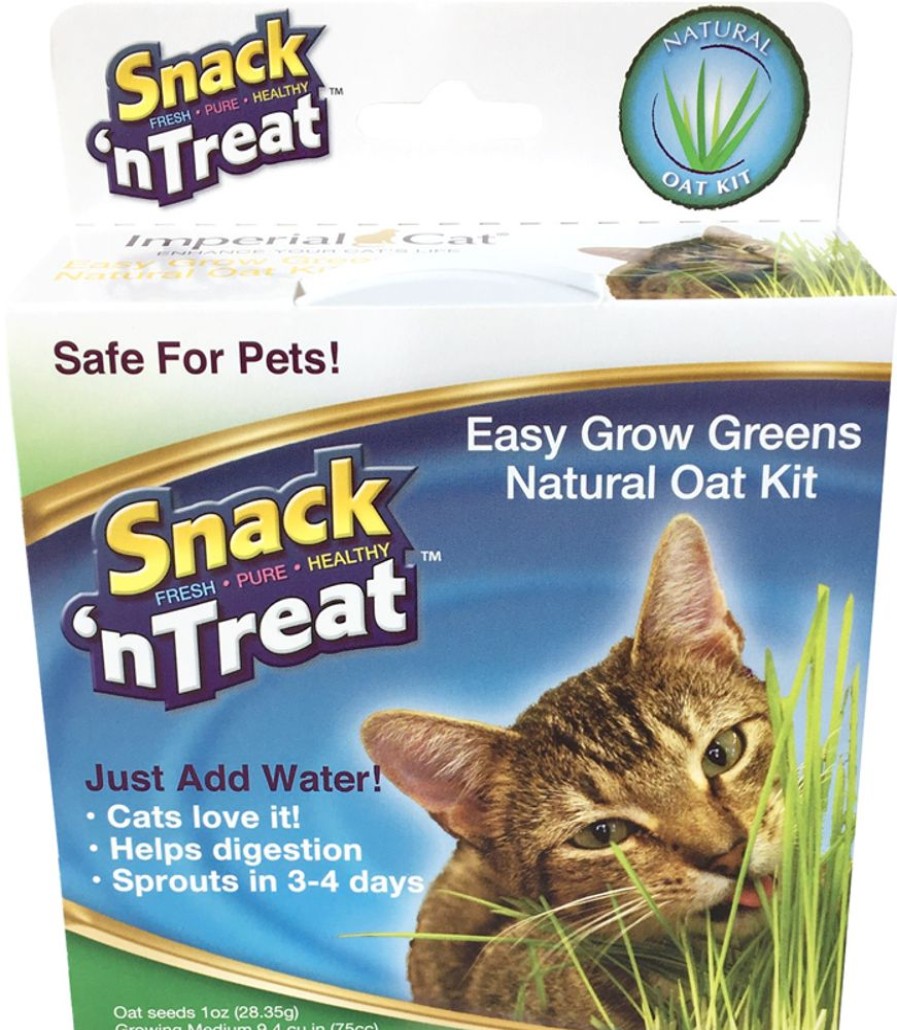 For Cats & Other Critters Imperial Cat | Snack 'N Treat Easy Grow Oat Grass Kit