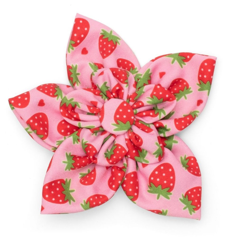 Collars, Leads & Accessories The Worthy Dog | Strawberries Flower