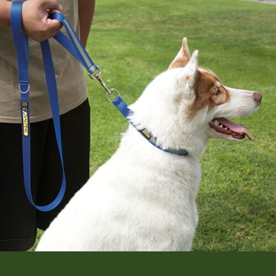 Collars, Leads & Accessories Alpine Outfitters® | Urban Trail® 5' Walking Leash W/Traffic Handle, Reflective Band & Accessory Ring