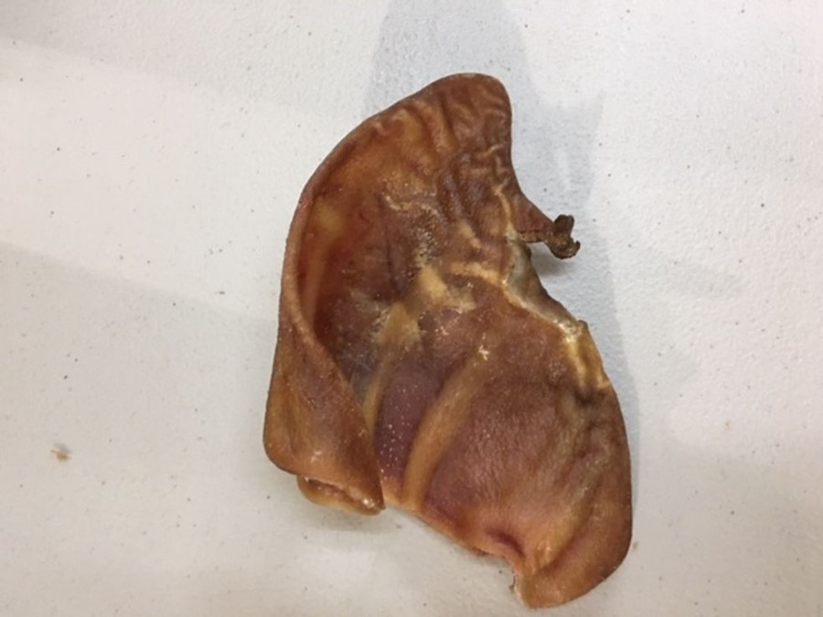 Treats Scoochie Pet | Pig Ear, Full Ear Bulk From Brazil