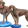 Training FITPAWS | Fitpaws Balance Discs