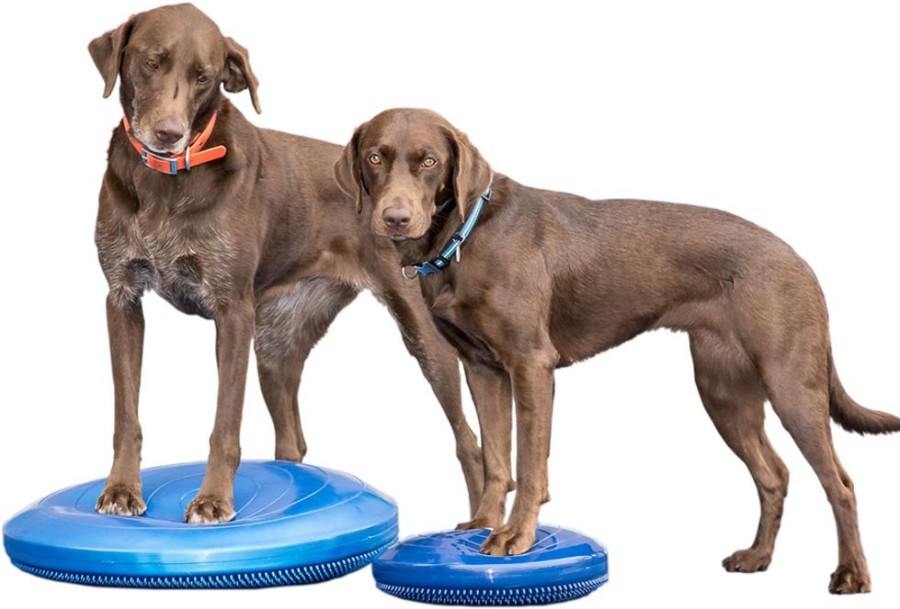 Training FITPAWS | Fitpaws Balance Discs