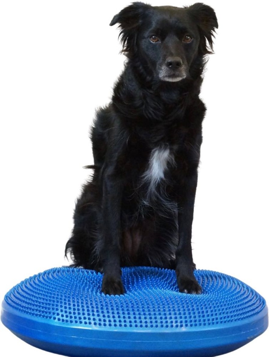 Training FITPAWS | Fitpaws Balance Discs