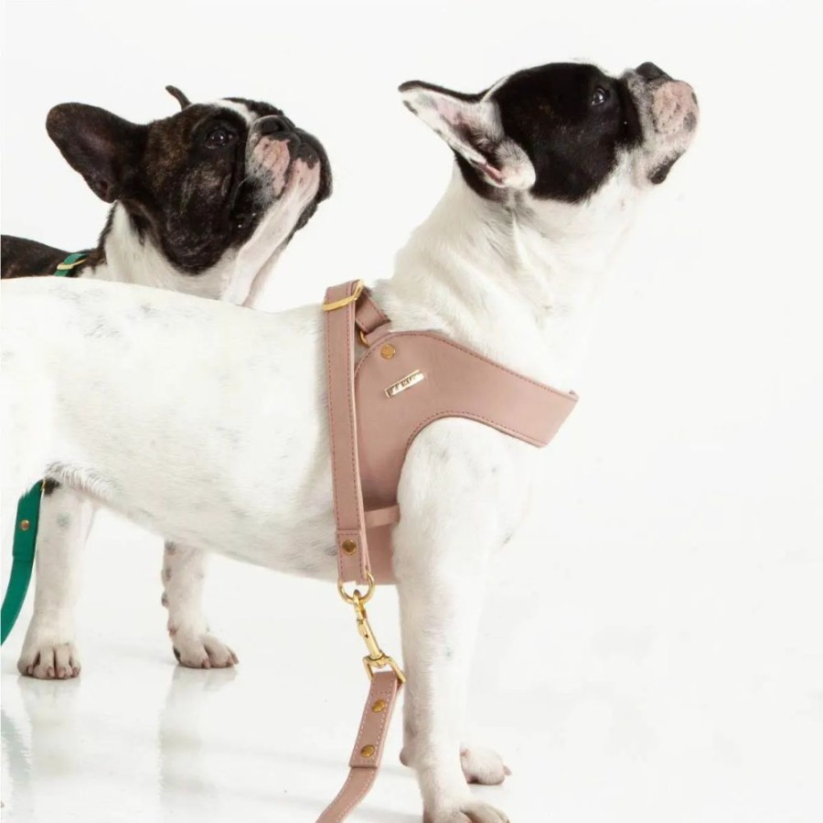 Harnesses Feroz - Urban Pet Fashion | Dusty Rose Dog Leather Harness