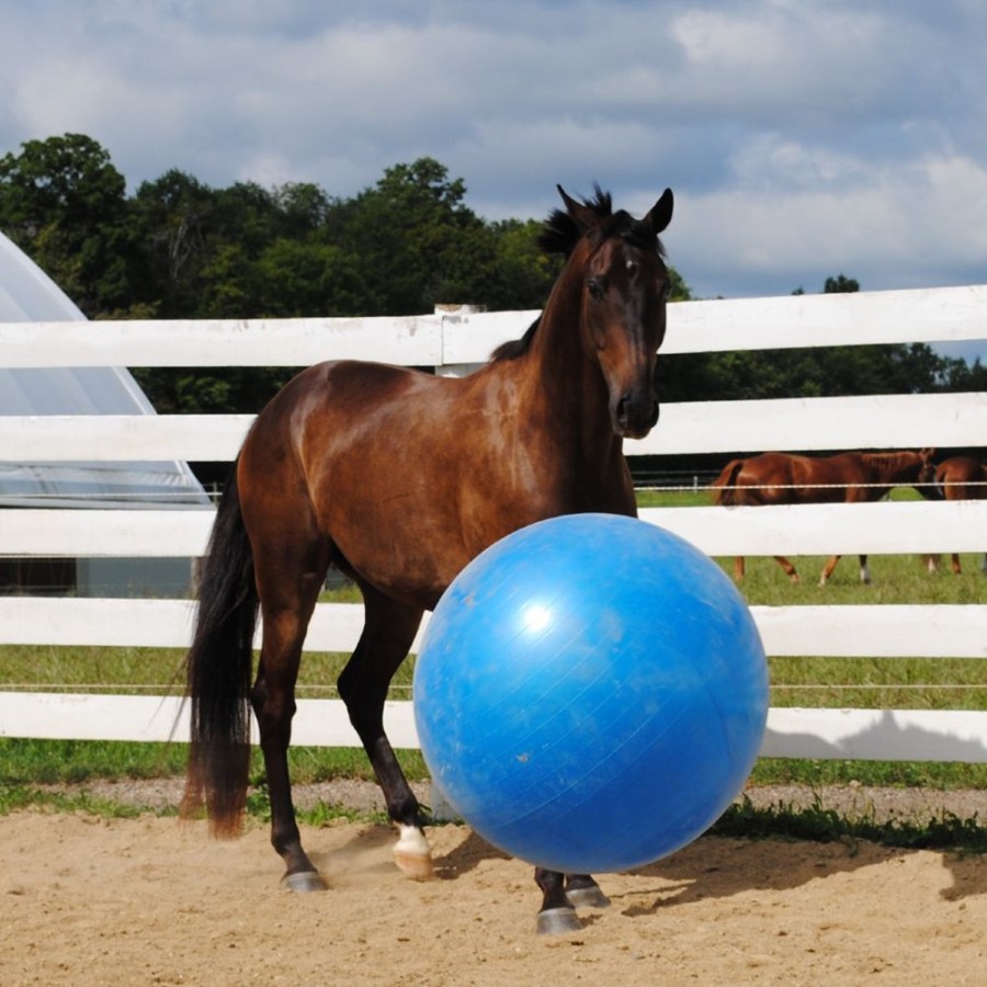 For Cats & Other Critters Horsemen's Pride | Horsemen'S Pride Jolly Mega Ball