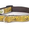 Collars, Leads & Accessories earthdog | Seamus-1 Collection