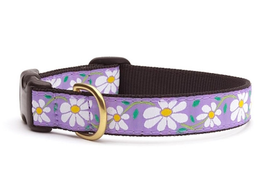 Collars, Leads & Accessories Up Country™ | Daisy