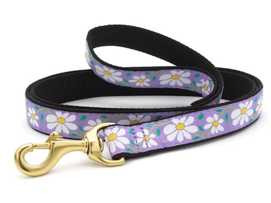 Collars, Leads & Accessories Up Country™ | Daisy