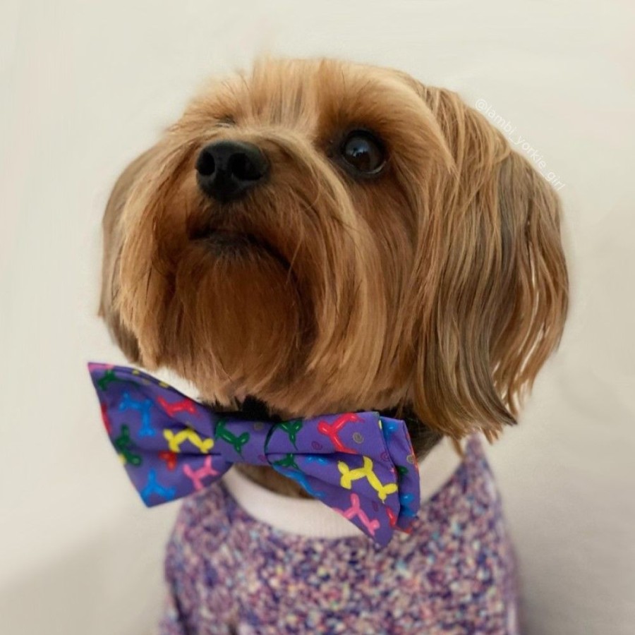 Special Occasion & Holiday Huxley & Kent® | Balloon Doggy Bow Tie