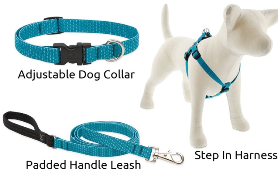 Collars, Leads & Accessories Lupine | Lupinepet® 3/4" Eco Collection