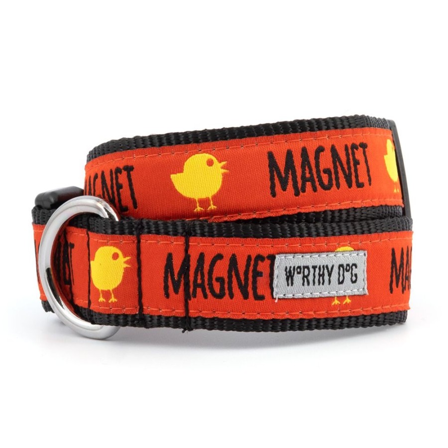 Collars, Leads & Accessories The Worthy Dog | Chick Magnet Collar & Lead Collection