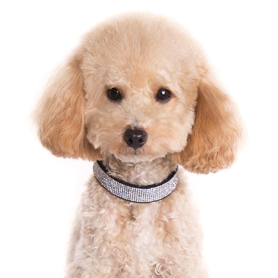 Collars, Leads & Accessories Dogo® Pet Fashions | Vip Bling Collar