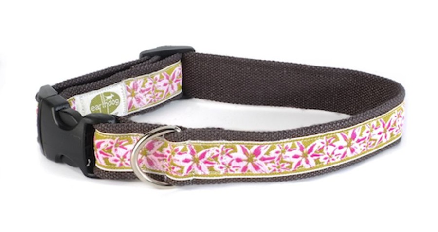 Collars, Leads & Accessories earthdog | Indi Collection