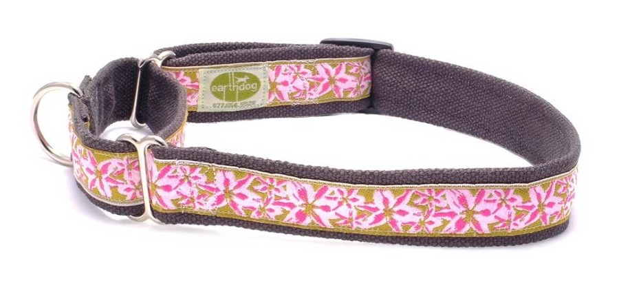 Collars, Leads & Accessories earthdog | Indi Collection