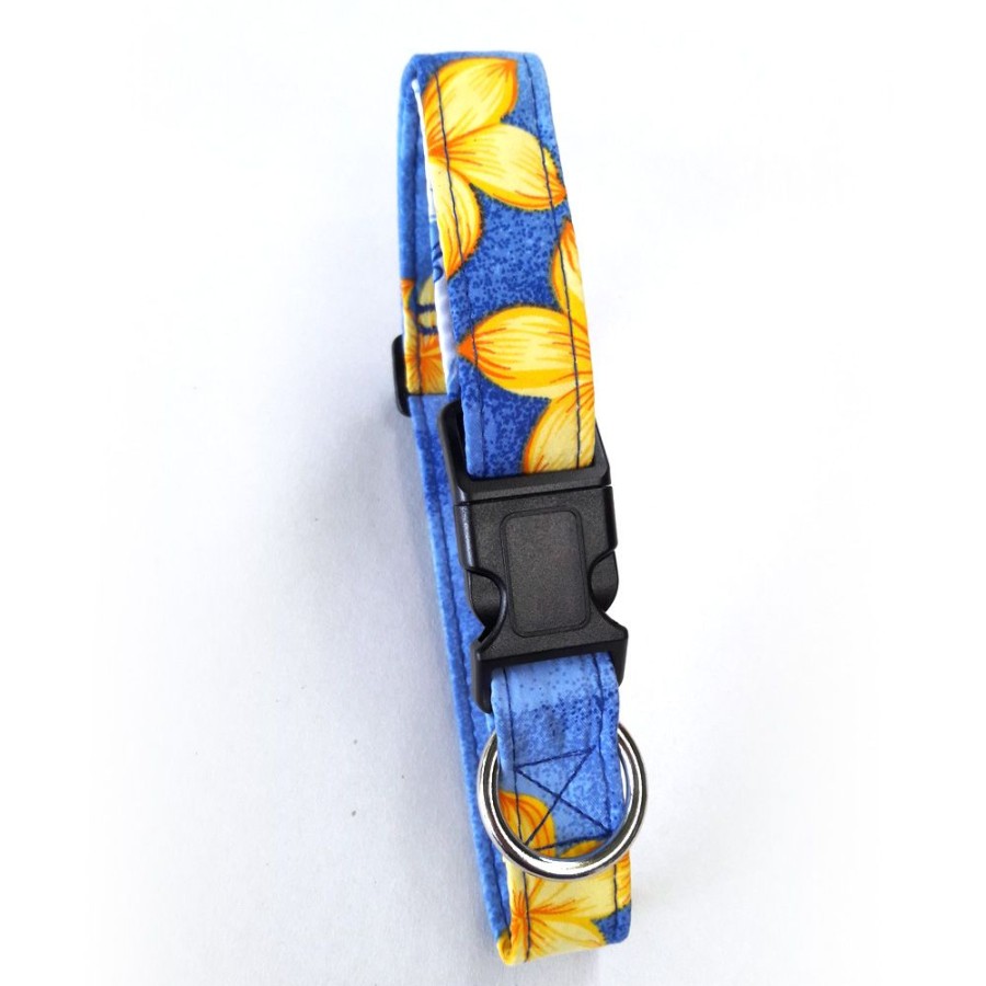 Collars, Leads & Accessories Beach Dog | Key West Blue Beach Dog Collars And Leashes