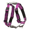 Training PetSafe® | 3 In 1 Harness