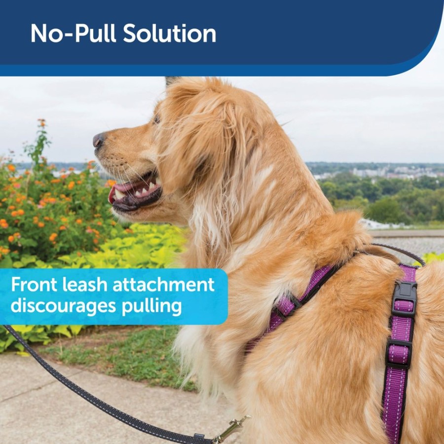 Training PetSafe® | 3 In 1 Harness