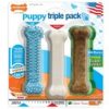 Treats Nylabone | Nylabone Puppy Starter Kit Regular Blue 3Pk