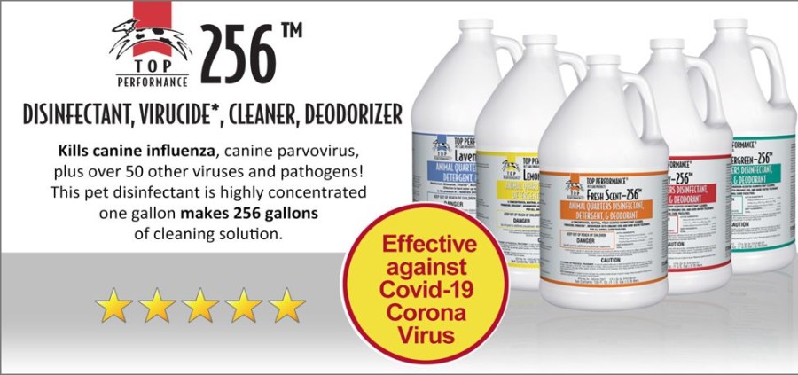 Stain, Odor & Clean-Up Products Top Performance® | Top Performance® 256 Disinfectant - Gallons