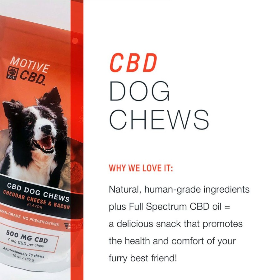 Treats Motive CBD Pet | Full Spectrum Cbd Dog Chews 500Mg Cheddar Cheese & Bacon Flavor