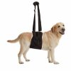 Totes & Carriers ZenPet | Buddylift - Canine Support And Rehabilitation Sling