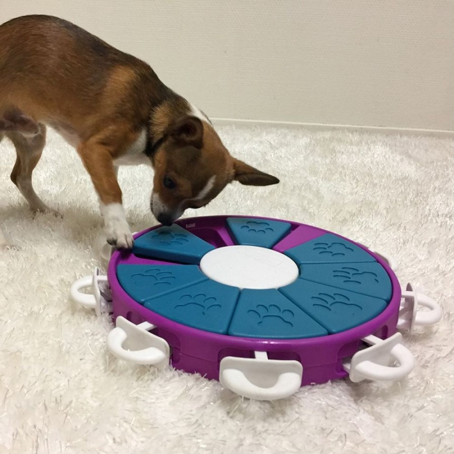 Toys & Playthings Nina Ottosson™ | Nina Ottosson Dog Twister Interactive Treat Dog Puzzle Toy Purple Level 3