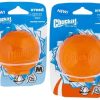 Toys & Playthings Chuckit! ® | Chuckit! Hydrofreeze Ball