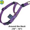 Collars, Leads & Accessories CETACEA® Pet Products | Xs Soft Webbing Martingale