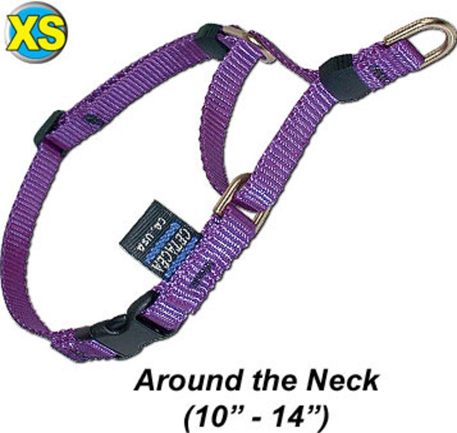 Collars, Leads & Accessories CETACEA® Pet Products | Xs Soft Webbing Martingale