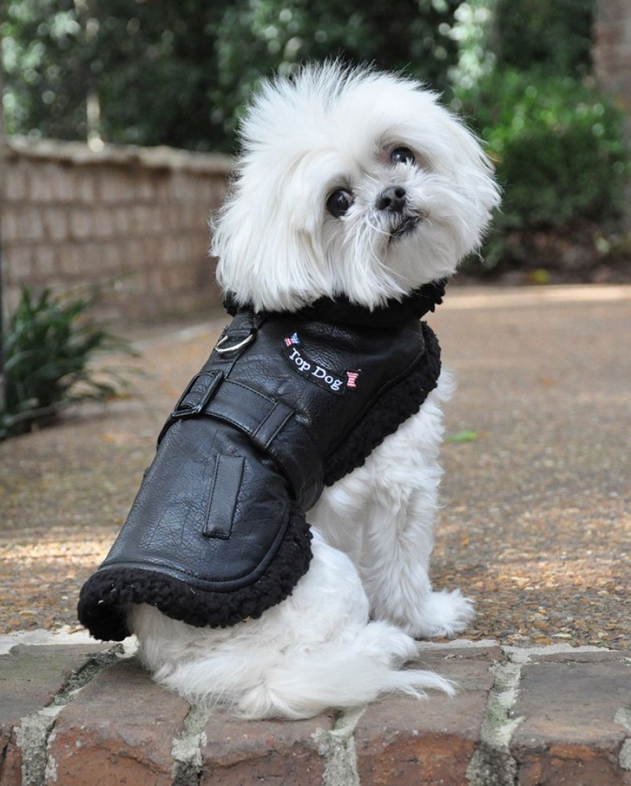 Pet Apparel Doggie Design, Inc. | Designer Black Top Dog Vintage Flight Jacket & Leash