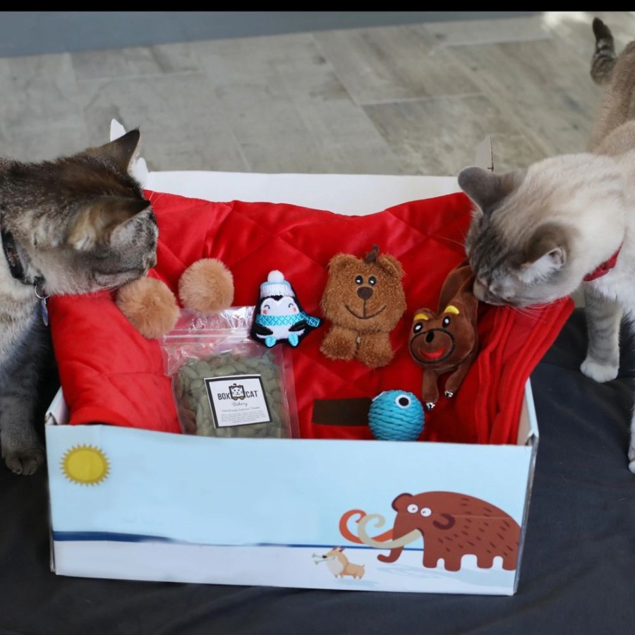 Special Occasion & Holiday BoxCat | Boxcat Luxury Gift Box For Cats By Boxcat