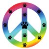 For The Home Imagine This Company | Peace Sign Magnets - Pride Rainbow