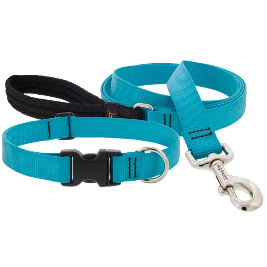 Collars, Leads & Accessories Lupine | Lupinepet® 1" Basic Solids Collection