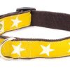 Collars, Leads & Accessories earthdog | Kody6 Collection