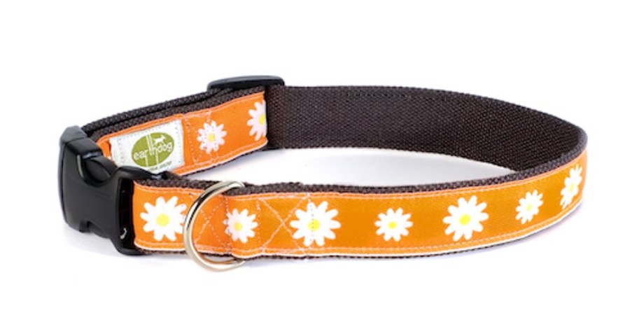 Collars, Leads & Accessories earthdog | Astrid Collection