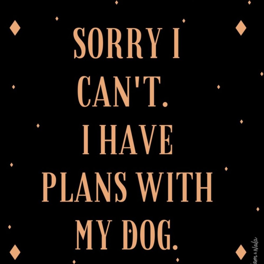 For The Home Sam & Nala | Sorry I Can'T I Have Plans With My Dog Vinyl Sticker