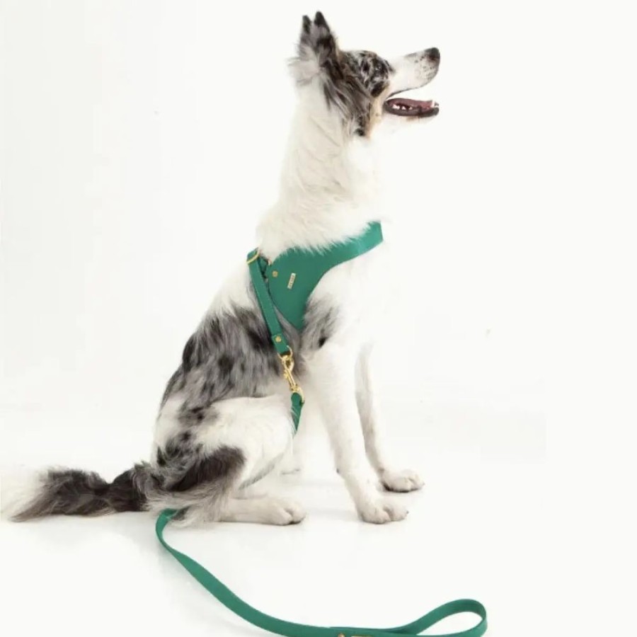 Harnesses Feroz - Urban Pet Fashion | Turquoise Leather Harness