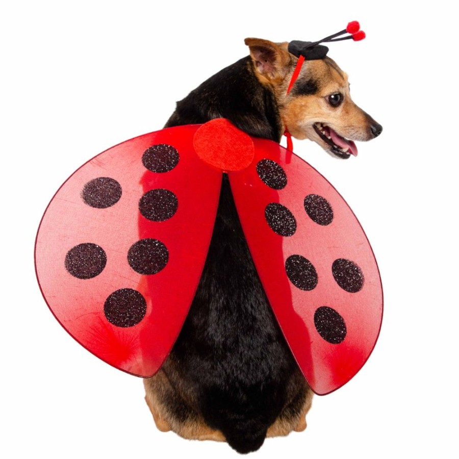 Pet Apparel (Continued) Pet Krewe | Ladybug