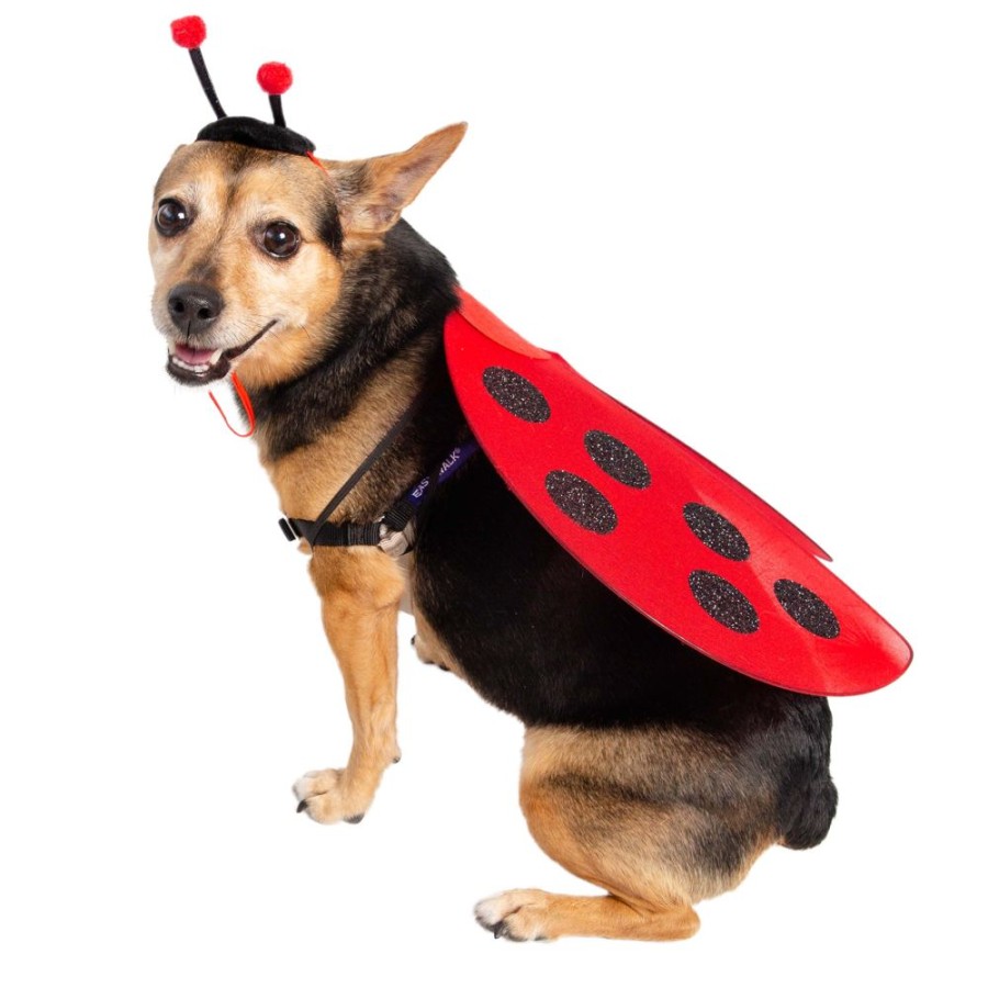 Pet Apparel (Continued) Pet Krewe | Ladybug