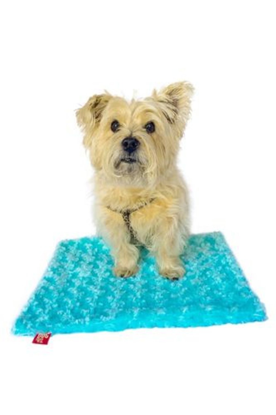 Beds, Crates, Etc. Dog Squad | Square Blanket, Seafoam Rosebud