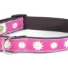 Collars, Leads & Accessories earthdog | Astrid Ii Collection