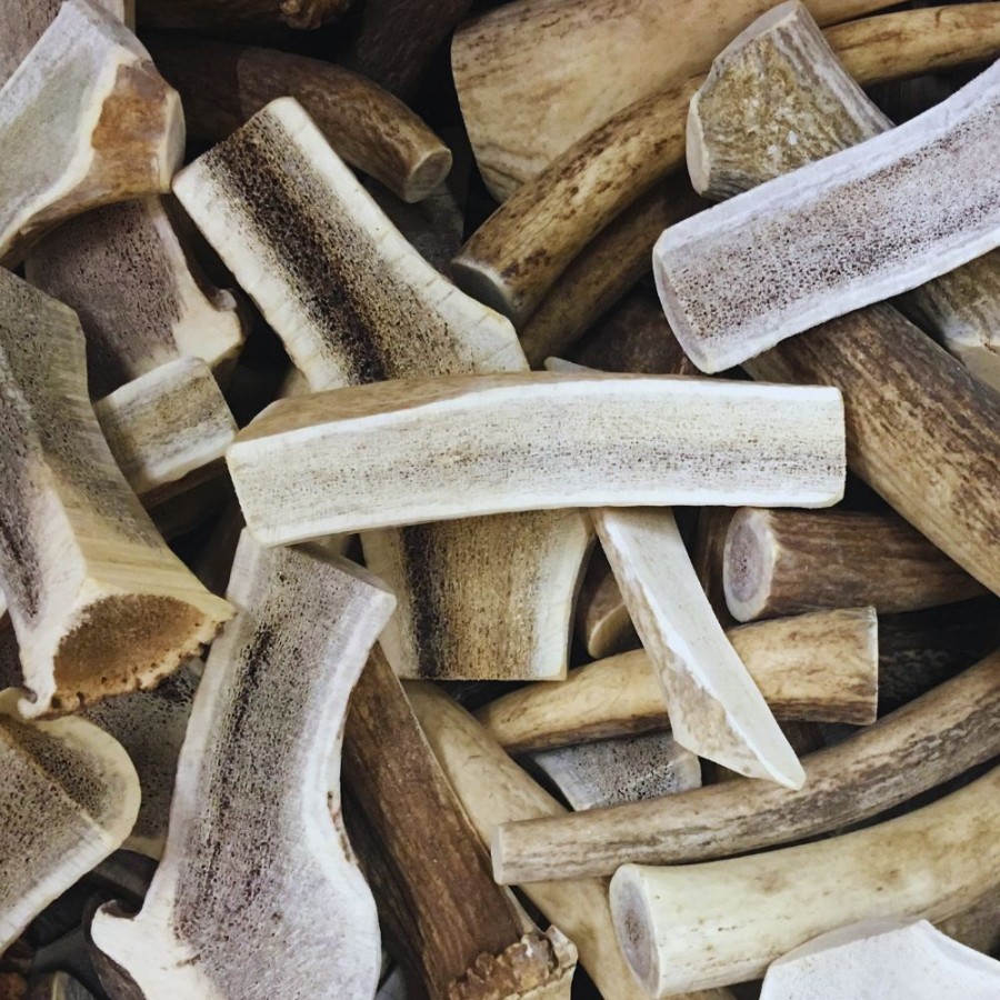 Treats WhiteTail Naturals | Bulk - Split Cut Elk Antler Dog Chews Sold By The Pound